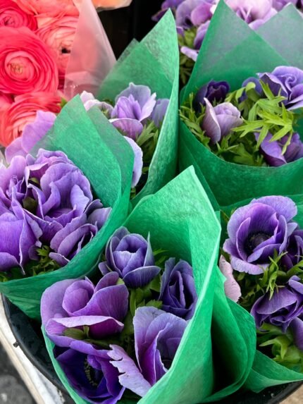 Flower Bouquet